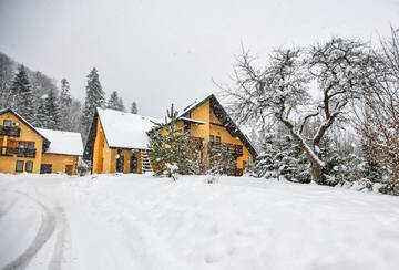 Фото Курортные отели Complex Turistic Bucovina г. Сучевица 5