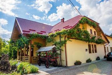 Фото Гостевой дом Casa Andreea г. Сучевица 1